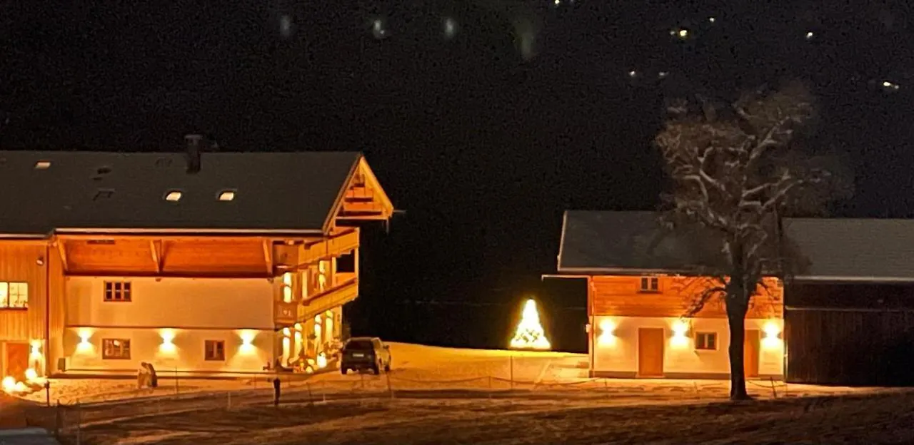 Ilgerhof Ferienwohnungen Oberaudorf Apartment